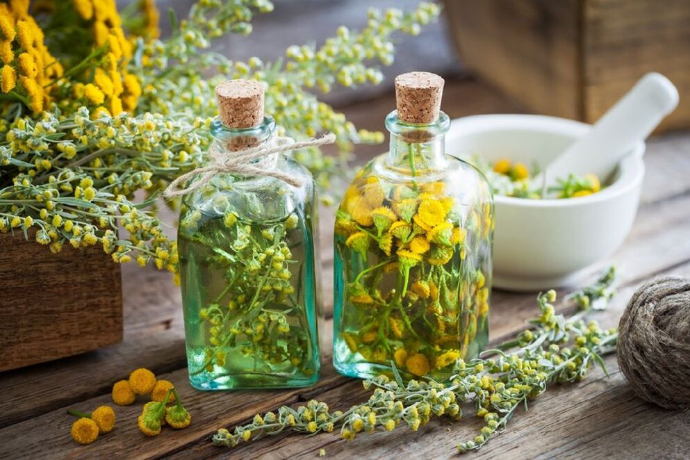 tansy tincture helminths